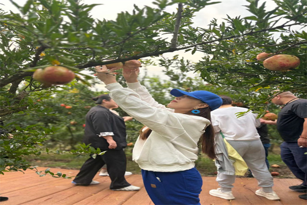 1697943964109489.jpg 1697943964109489.jpg