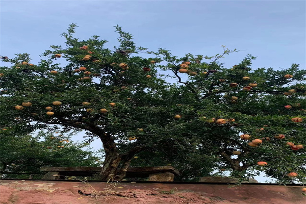 1697943964612065.jpg 1697943964612065.jpg